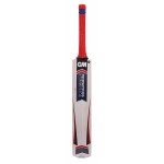 GM Purist 303 English Willow Cricket Bat